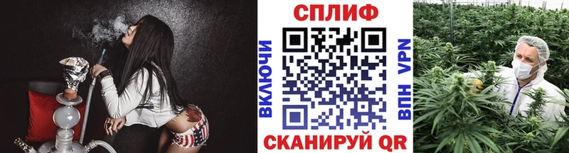где купить наркотик  Белая Холуница  Конопля индика 